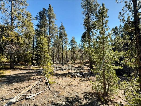 235 Willow,  Fairplay,  CO 80440