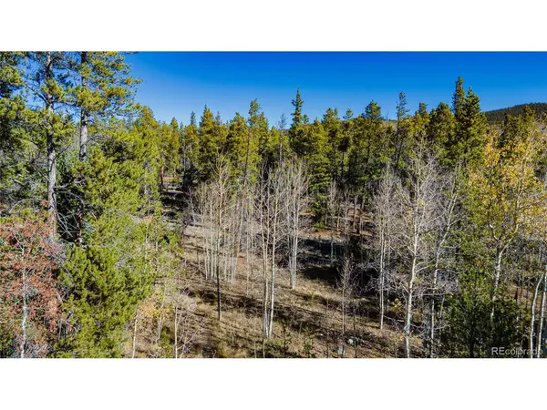 235 Willow, Fairplay, CO 80440