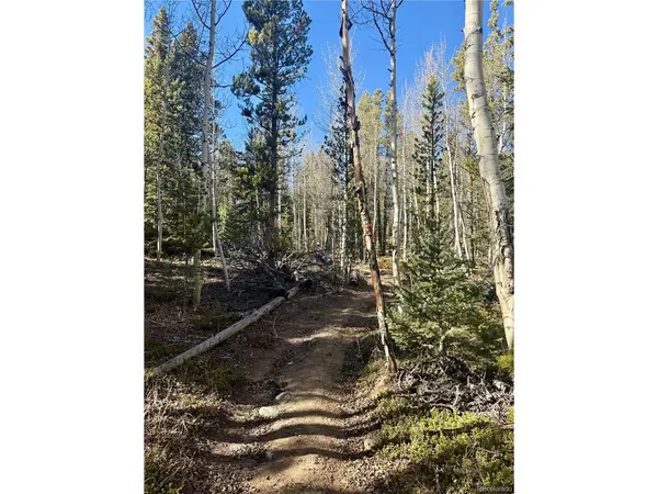 235 Willow, Fairplay, CO 80440