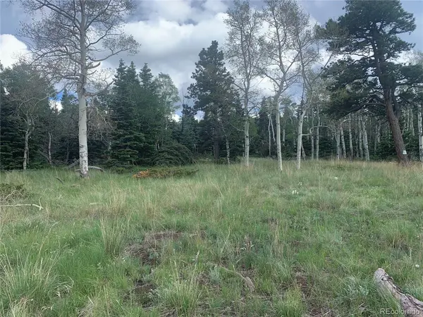 2941 FORBES PARK, Fort Garland, CO 81133