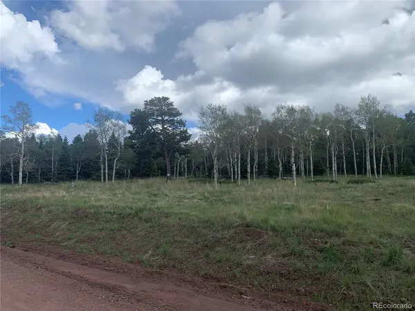 2941 FORBES PARK, Fort Garland, CO 81133
