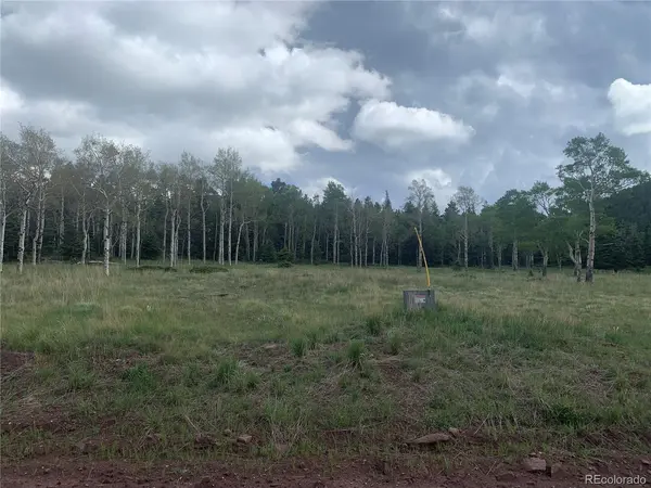 2941 FORBES PARK, Fort Garland, CO 81133