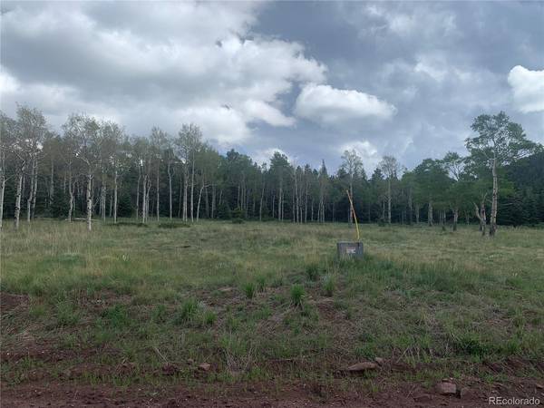 2941 FORBES PARK, Fort Garland, CO 81133