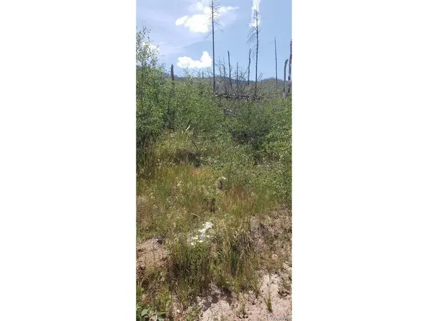 Address not disclosed, Fort Garland, CO 81133