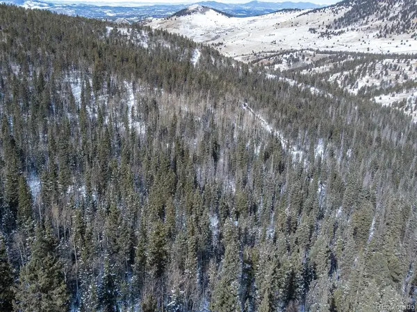 R0029767, Cripple Creek, CO 80813