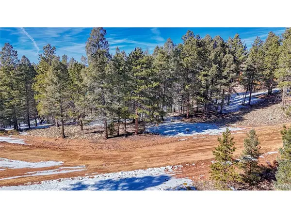 79 Huntsman, Florissant, CO 80816