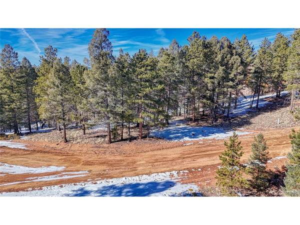79 Huntsman, Florissant, CO 80816