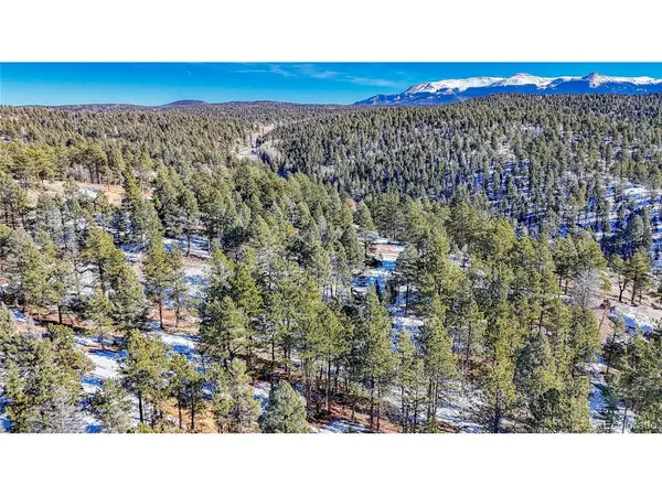 79 Huntsman, Florissant, CO 80816