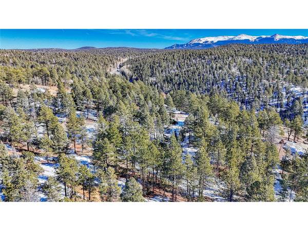 79 Huntsman, Florissant, CO 80816