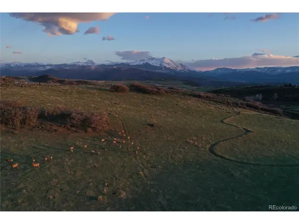 0 County Road 100, Carbondale, CO 81623