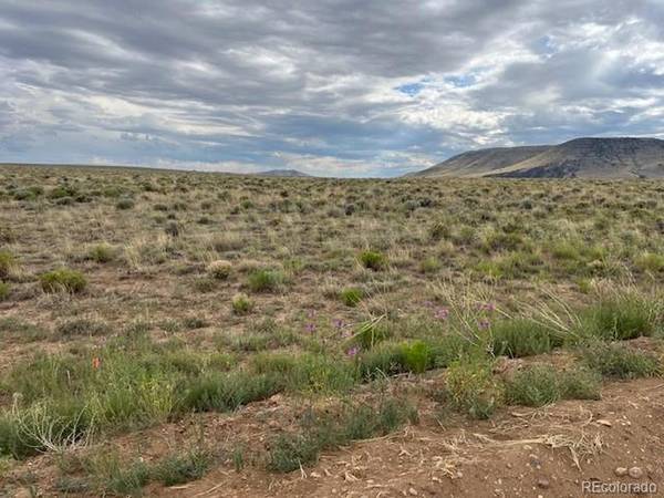 35 Co Rd G, San Luis, CO 81152
