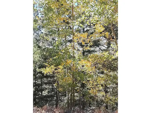 Lot 5374, Fort Garland, CO 81133