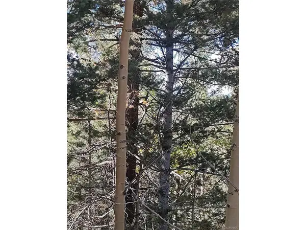 Lot 5374, Fort Garland, CO 81133