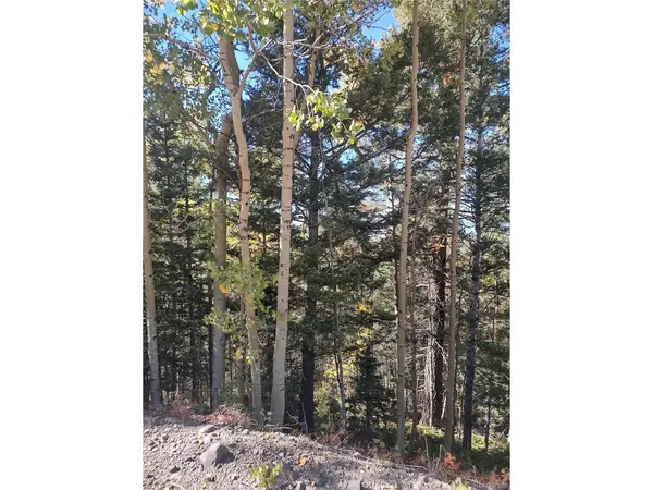 Lot 5374, Fort Garland, CO 81133