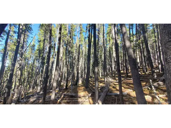 2682 Purnell, Fort Garland, CO 81133