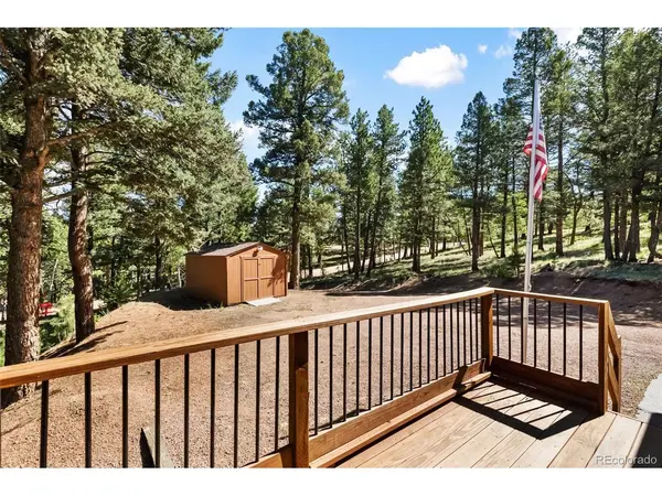 234 Wasatch, Florissant, CO 80816
