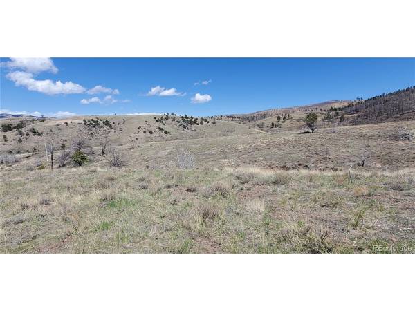 7698 Marie, Fort Garland, CO 81133