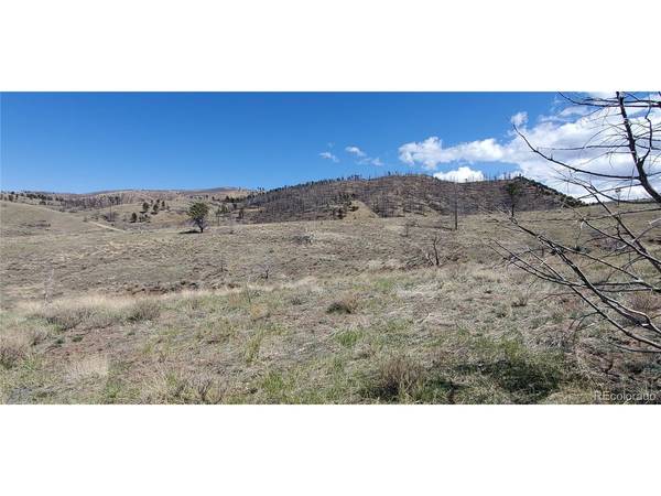 7698 Marie, Fort Garland, CO 81133