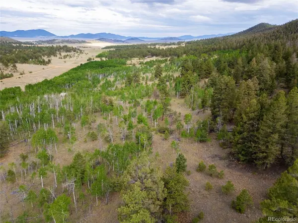 2396 Fitzsimmons, Hartsel, CO 80449