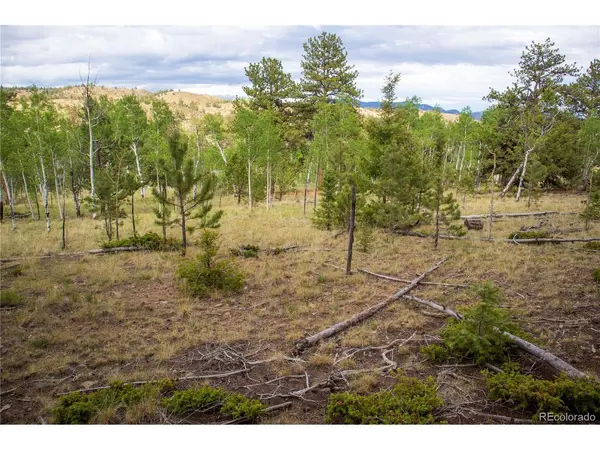 2396 Fitzsimmons, Hartsel, CO 80449