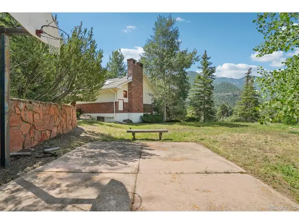 203 9th, Georgetown, CO 80444
