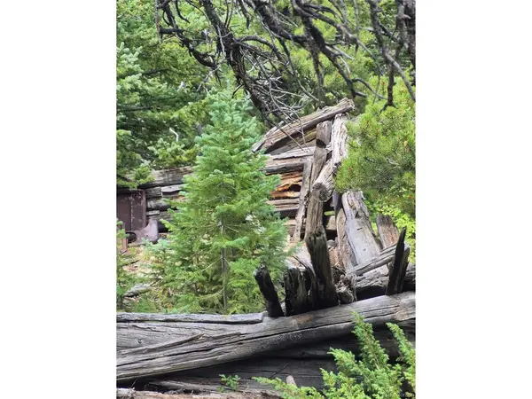 1900 County Road 128J, Nederland, CO 80466
