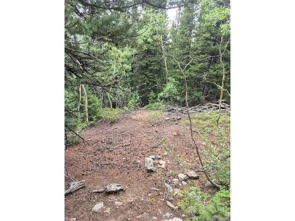 1900 County Road 128J, Nederland, CO 80466