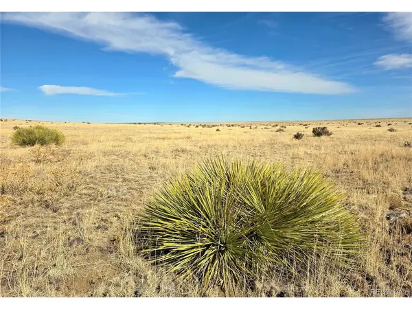 TBD County Road 103, Walsenburg, CO 81089