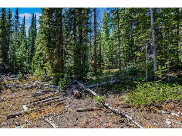 245 El Lobo, Fairplay, CO 80440
