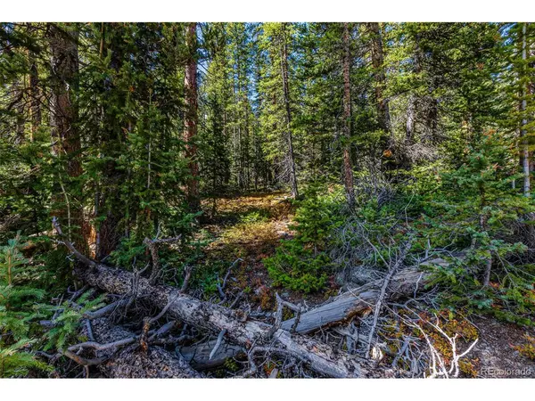 245 El Lobo, Fairplay, CO 80440