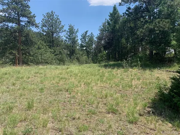 0 Douglas Mtn, Golden, CO 80403