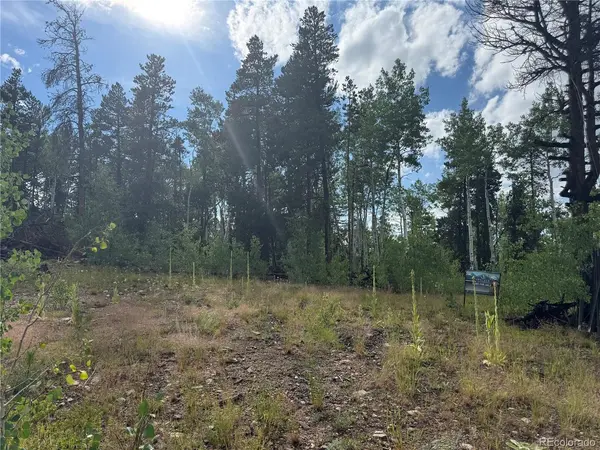 1 Church Placer, Central City, CO 80427
