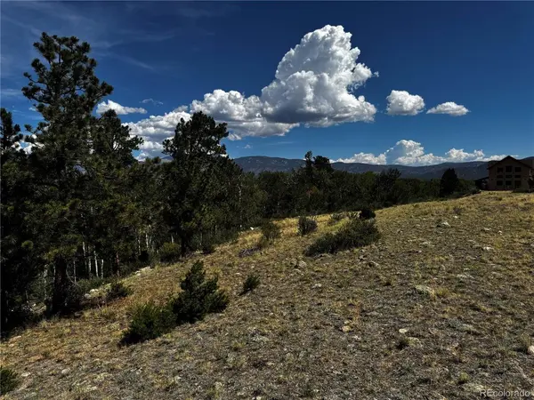 17520 County Road 306, Buena Vista, CO 81211