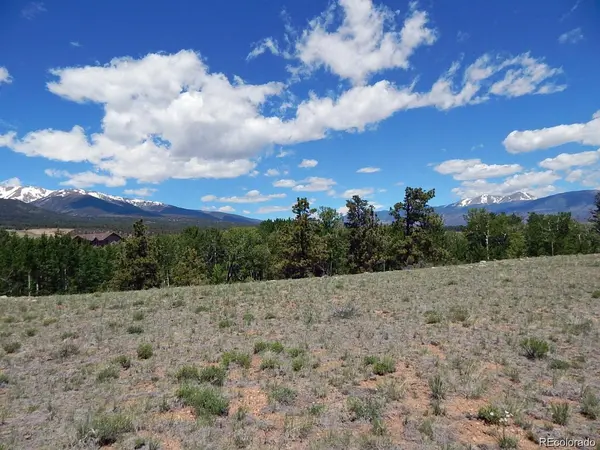 17520 County Road 306, Buena Vista, CO 81211