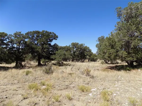 Mill Run, Mosca, CO 81146