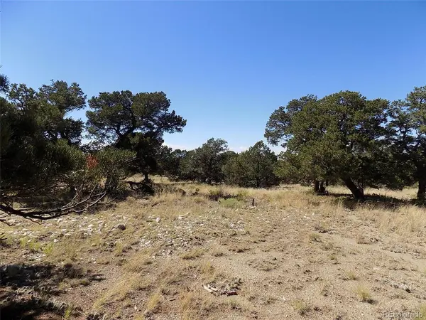 Mill Run, Mosca, CO 81146