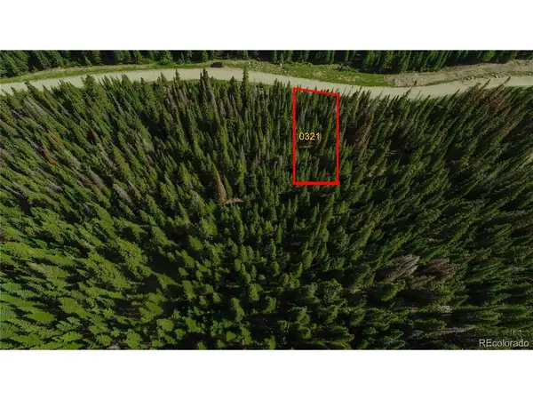 321 CR 805, Breckenridge, CO 80424