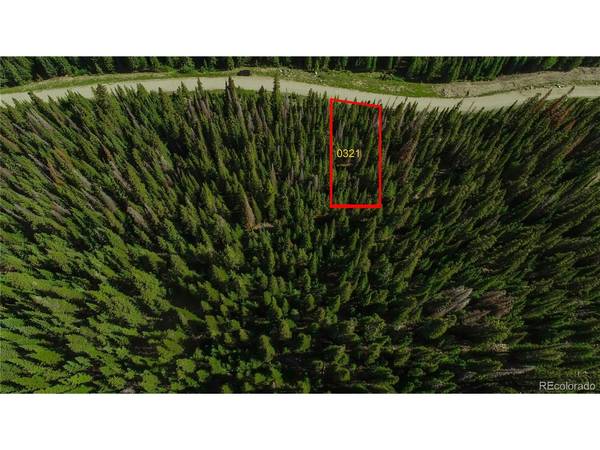 321 CR 805, Breckenridge, CO 80424