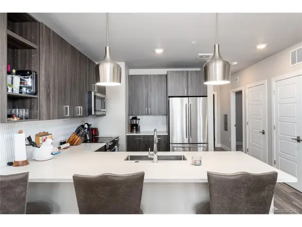 20 Wilcox #503, Castle Rock, CO 80104