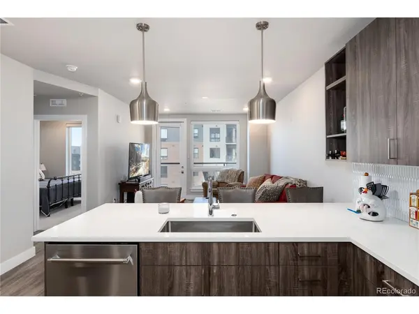 20 Wilcox #503, Castle Rock, CO 80104