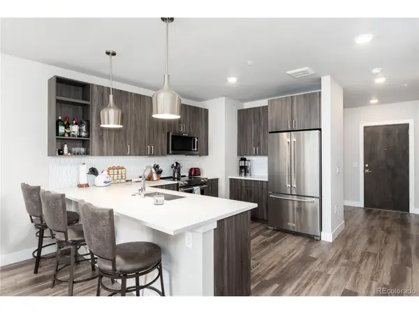 20 Wilcox #503, Castle Rock, CO 80104