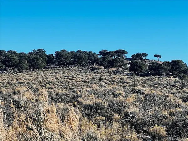 3504 Slaughter, Fort Garland, CO 81133