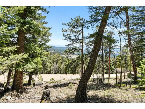 11618 Nichols, Conifer, CO 80433