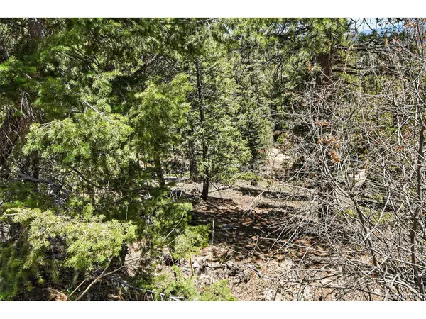 11618 Nichols, Conifer, CO 80433