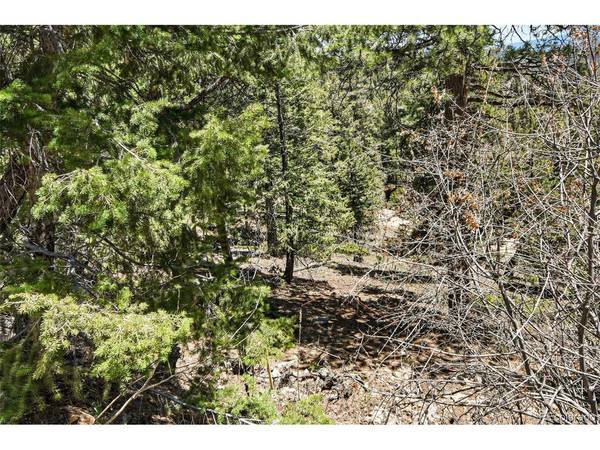 11618 Nichols, Conifer, CO 80433