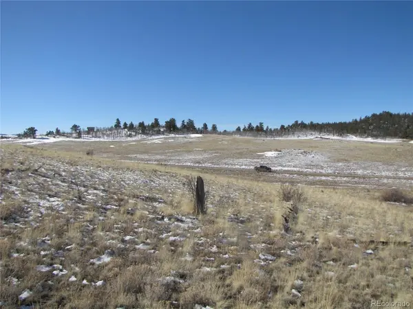 8808 County Road 53, Hartsel, CO 80449