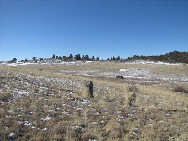 8808 County Road 53, Hartsel, CO 80449