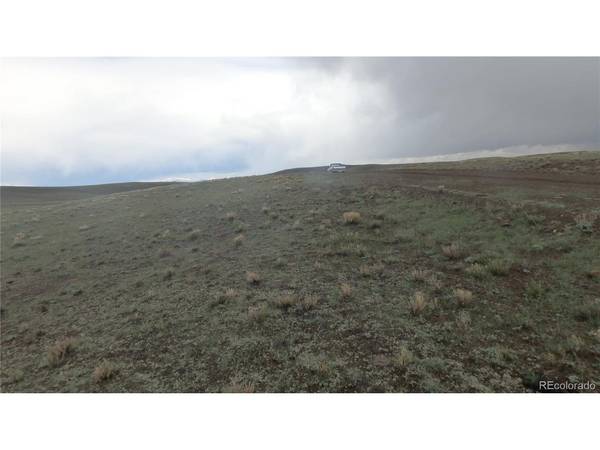 Delaware, Hartsel, CO 80449