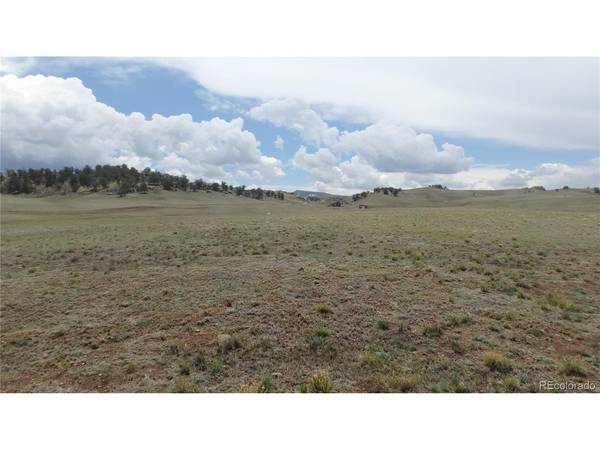 Delaware, Hartsel, CO 80449
