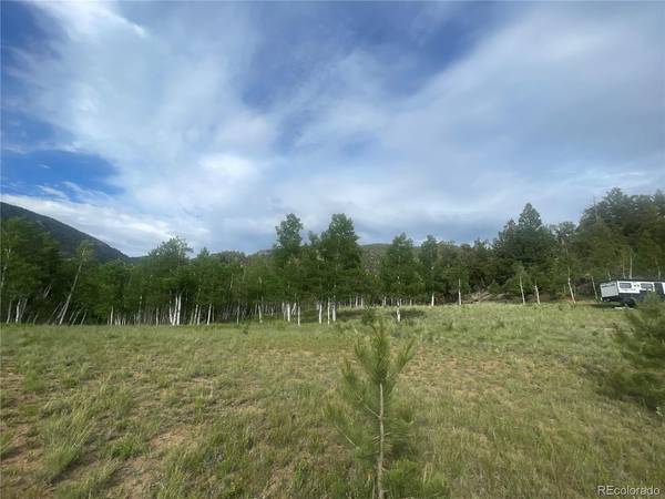 171 Emerald, Lake George, CO 80827